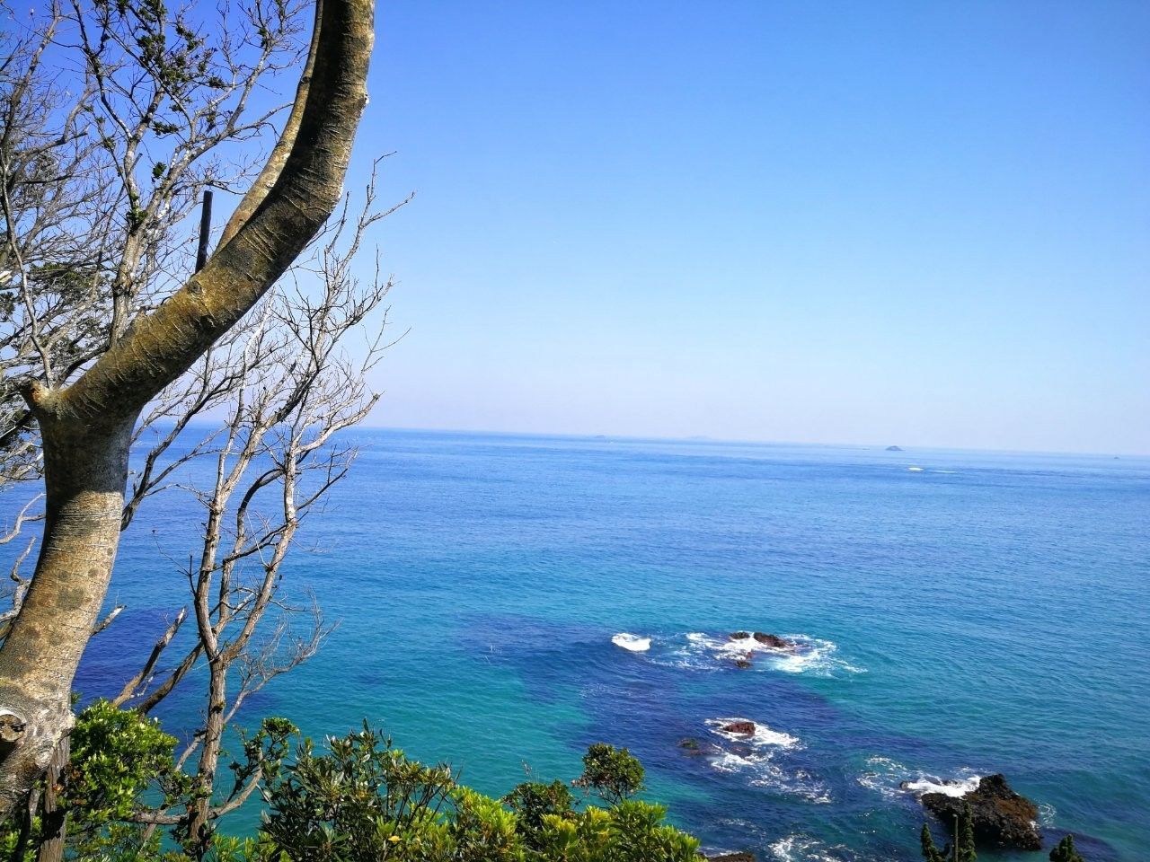 f:id:adagio-nijiiro:20190529003354j:image f:id:adagio-nijiiro:20190529003354j:image