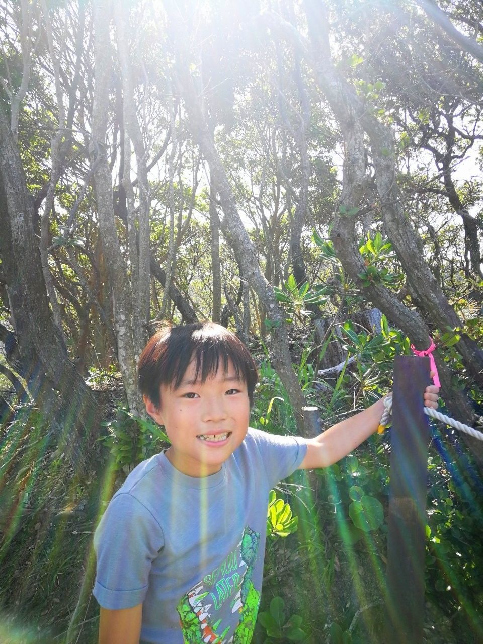f:id:adagio-nijiiro:20190529004946j:image f:id:adagio-nijiiro:20190529004946j:image