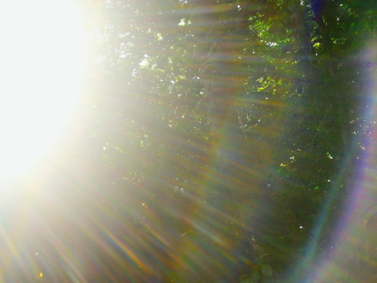 f:id:adagio-nijiiro:20190529011139j:image f:id:adagio-nijiiro:20190529011139j:image