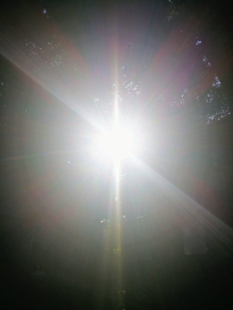 f:id:adagio-nijiiro:20190529011607j:image f:id:adagio-nijiiro:20190529011607j:image