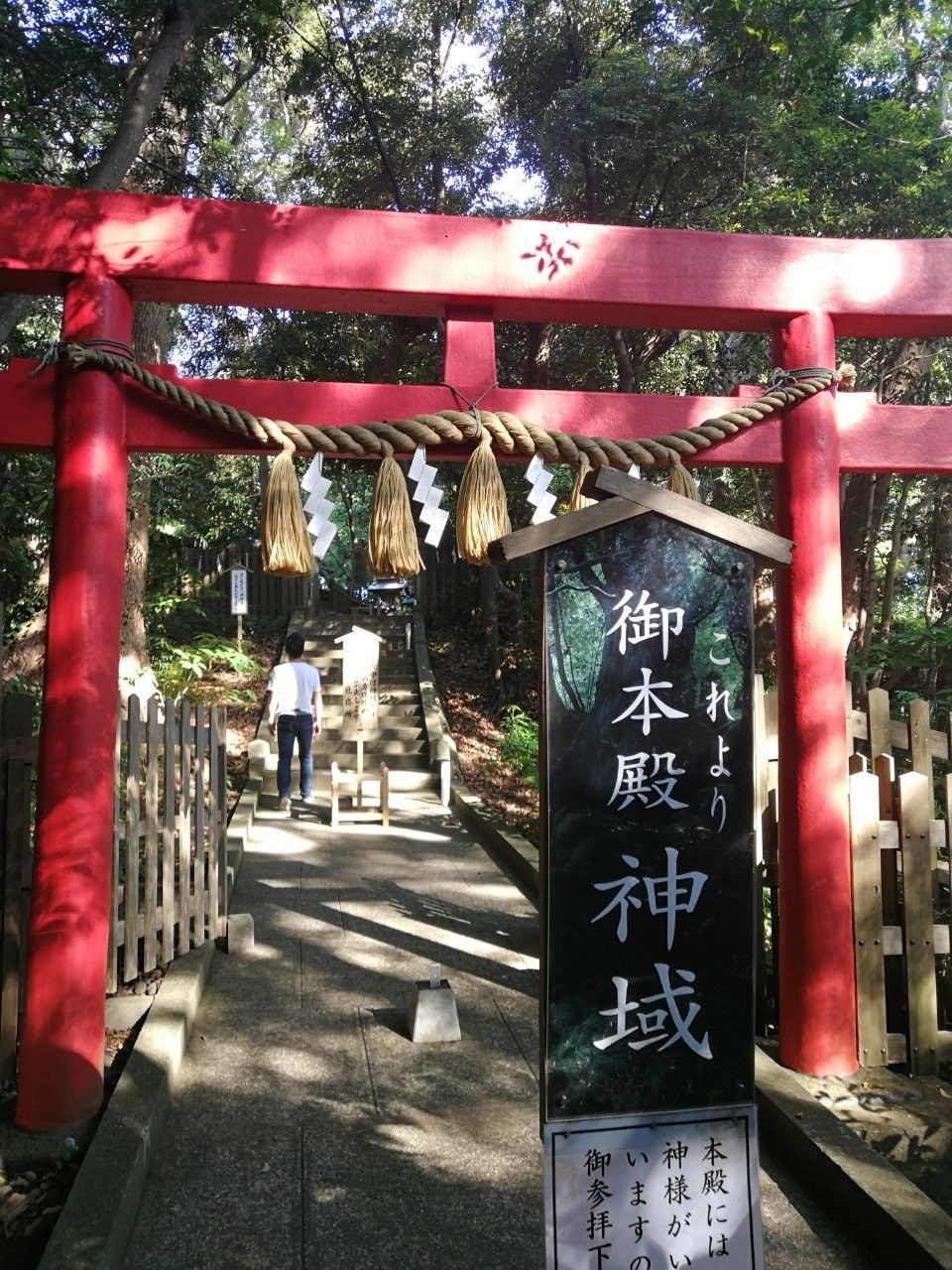 f:id:adagio-nijiiro:20190529013100j:image f:id:adagio-nijiiro:20190529013100j:image