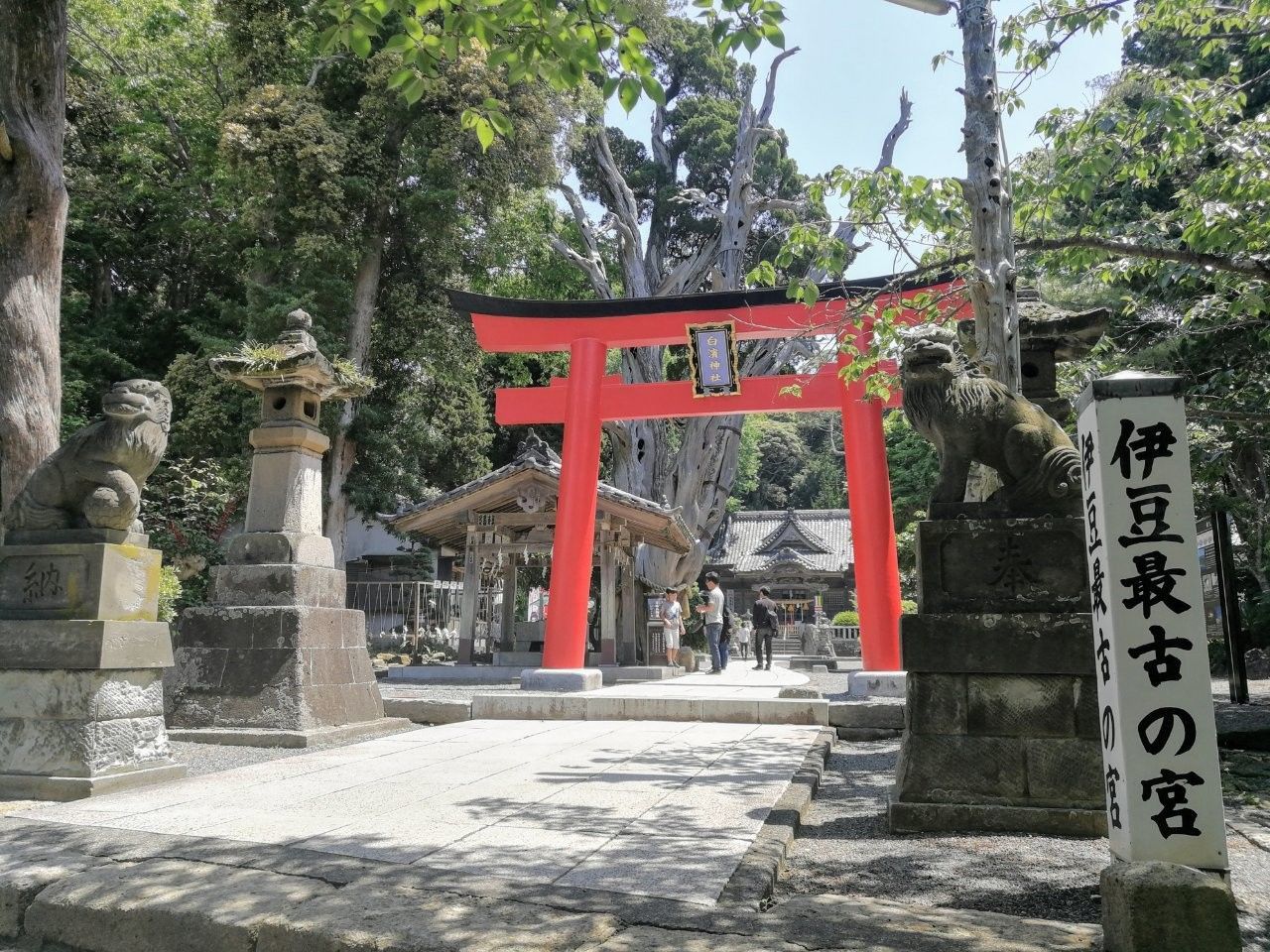 f:id:adagio-nijiiro:20190529100401j:image f:id:adagio-nijiiro:20190529100401j:image