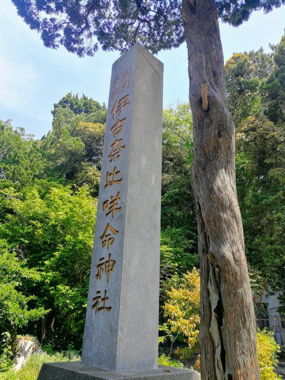 f:id:adagio-nijiiro:20190529100438j:image f:id:adagio-nijiiro:20190529100438j:image