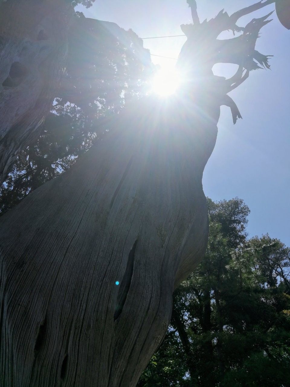 f:id:adagio-nijiiro:20190529100520j:image f:id:adagio-nijiiro:20190529100520j:image