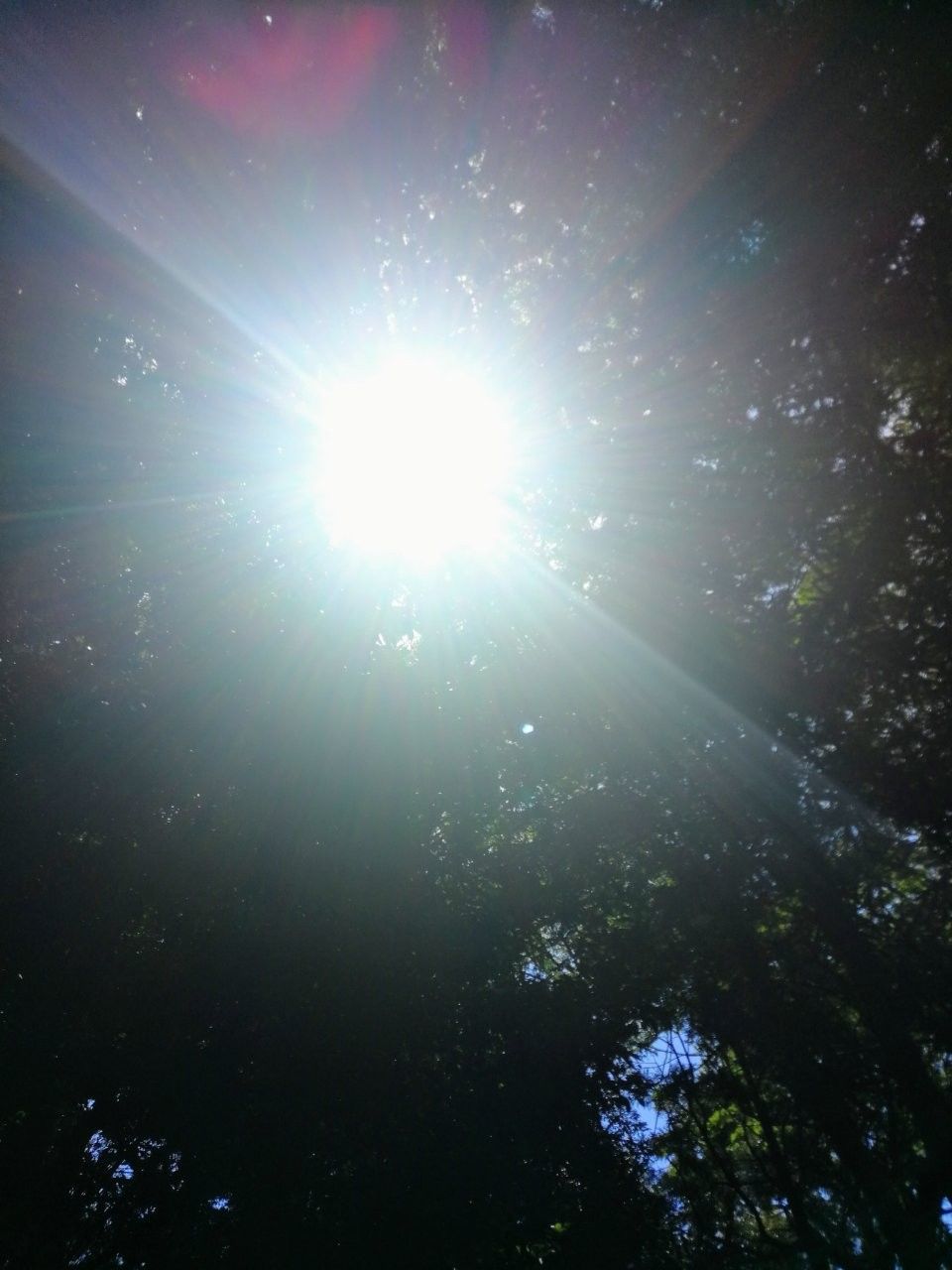 f:id:adagio-nijiiro:20190529100922j:image f:id:adagio-nijiiro:20190529100922j:image