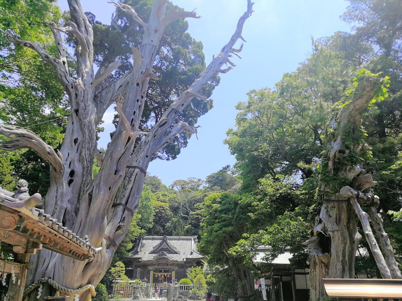 f:id:adagio-nijiiro:20190529101218j:image f:id:adagio-nijiiro:20190529101218j:image