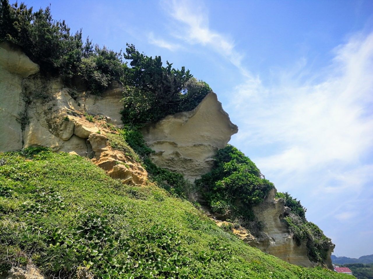f:id:adagio-nijiiro:20190529104222j:image f:id:adagio-nijiiro:20190529104222j:image