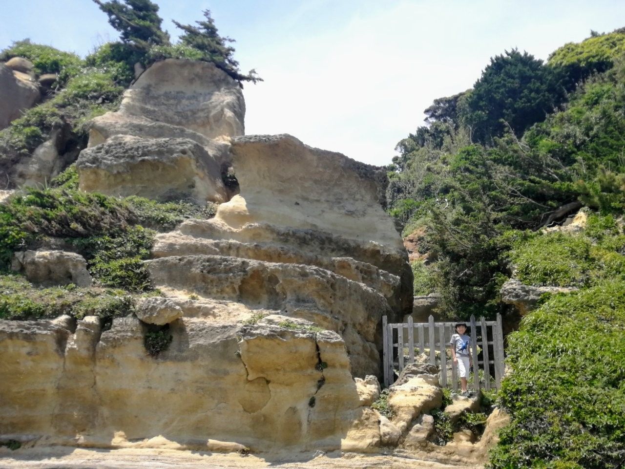 f:id:adagio-nijiiro:20190529104606j:image f:id:adagio-nijiiro:20190529104606j:image