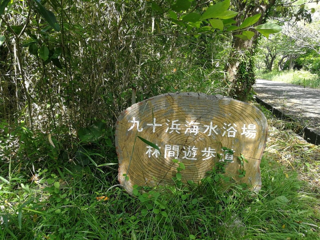 f:id:adagio-nijiiro:20190529110701j:image f:id:adagio-nijiiro:20190529110701j:image