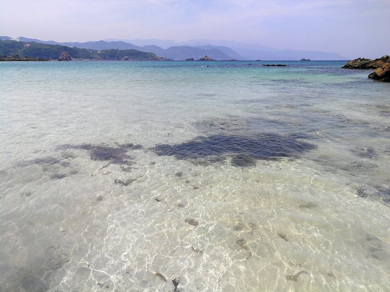 f:id:adagio-nijiiro:20190529112618j:image f:id:adagio-nijiiro:20190529112618j:image