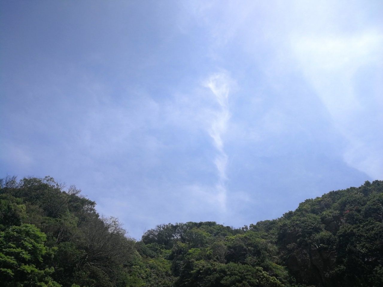 f:id:adagio-nijiiro:20190529113132j:image f:id:adagio-nijiiro:20190529113132j:image