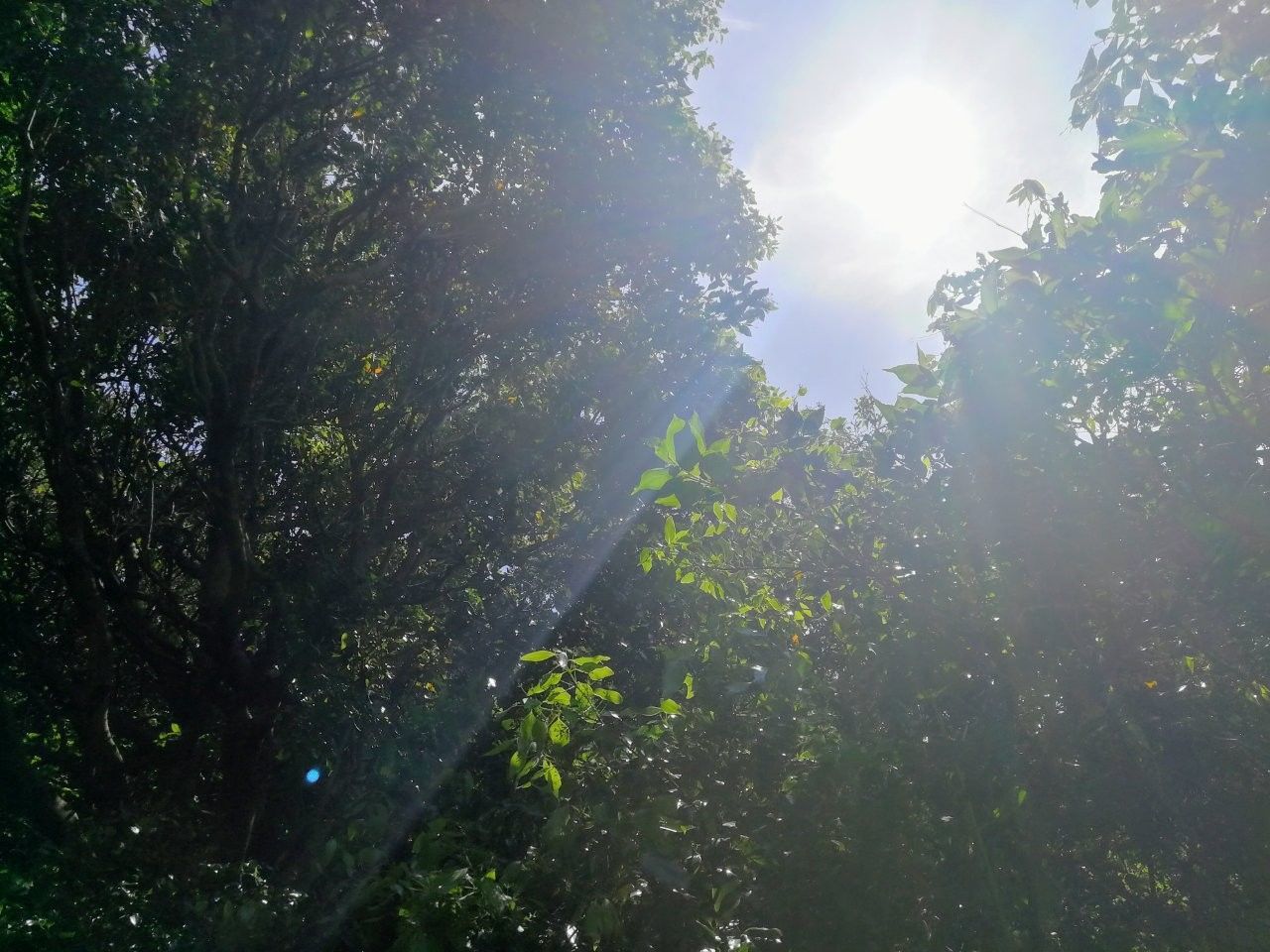 f:id:adagio-nijiiro:20190529114036j:image f:id:adagio-nijiiro:20190529114036j:image