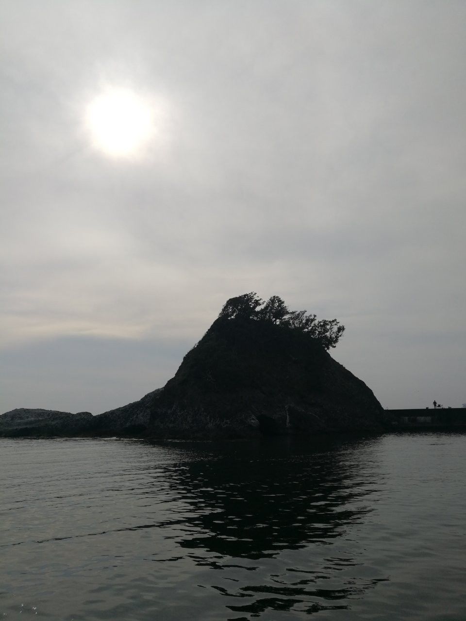 f:id:adagio-nijiiro:20190529123159j:image f:id:adagio-nijiiro:20190529123159j:image