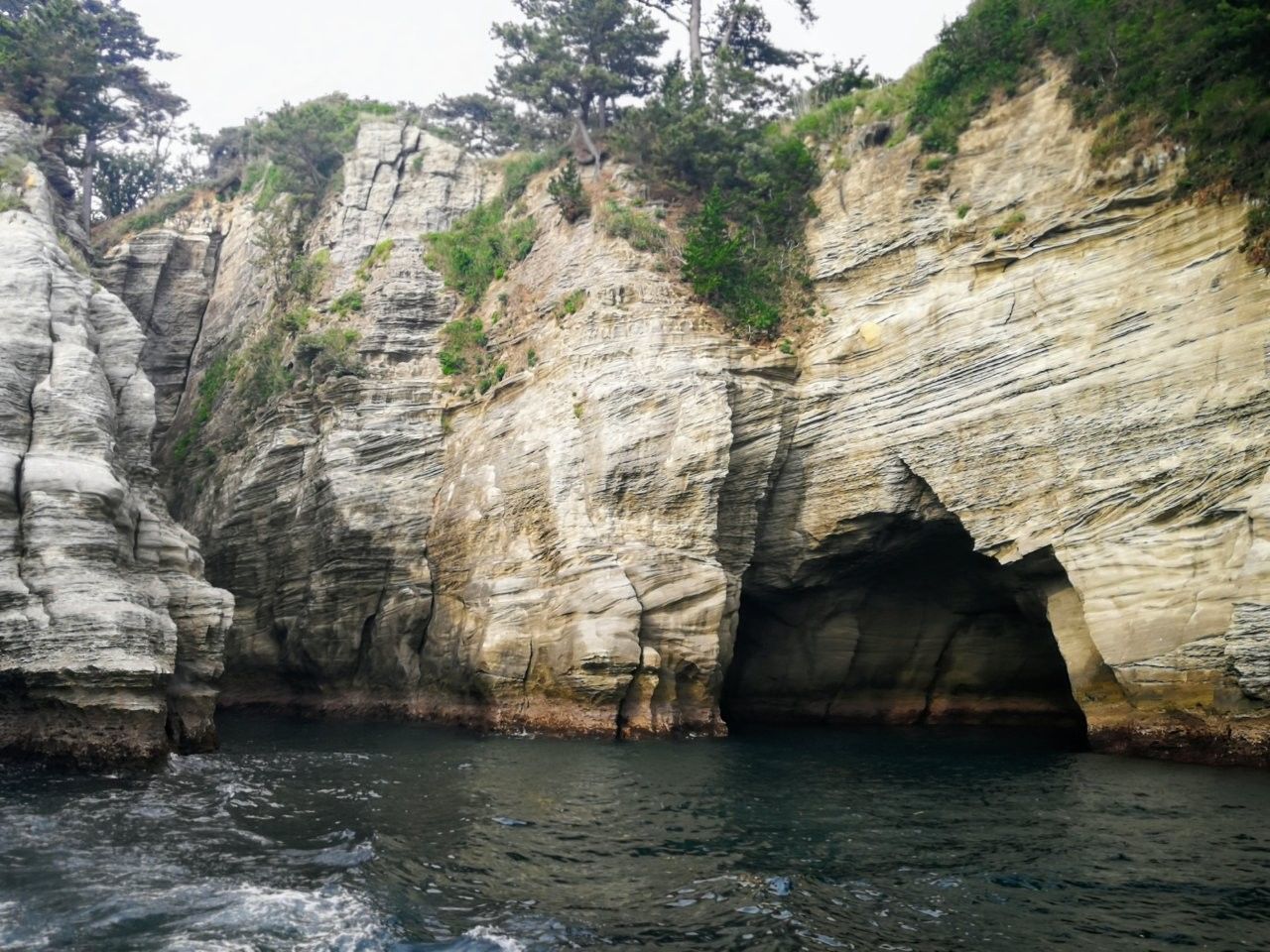 f:id:adagio-nijiiro:20190529123228j:image f:id:adagio-nijiiro:20190529123228j:image