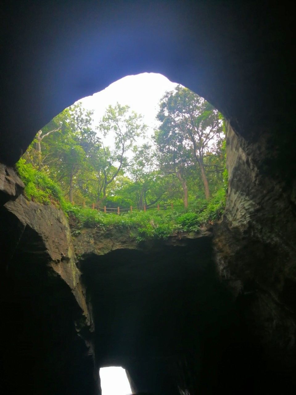 f:id:adagio-nijiiro:20190529123837j:image f:id:adagio-nijiiro:20190529123837j:image