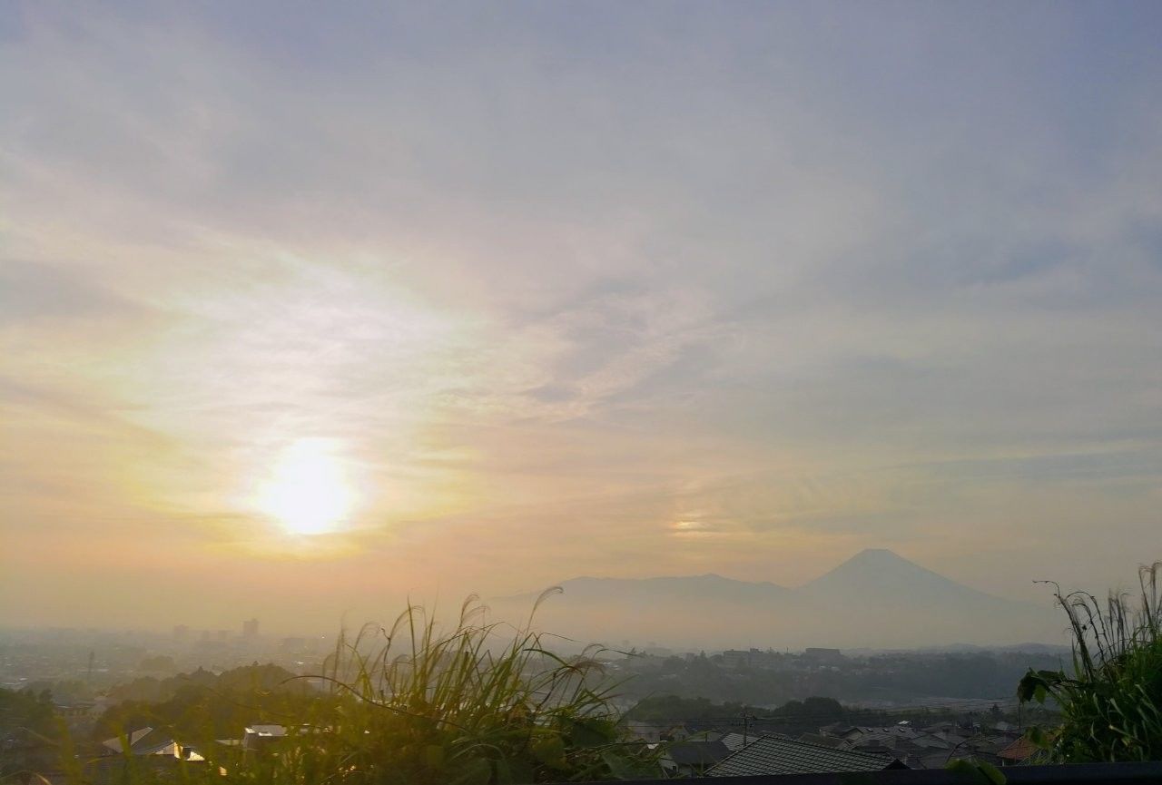 f:id:adagio-nijiiro:20190529125225j:image f:id:adagio-nijiiro:20190529125225j:image