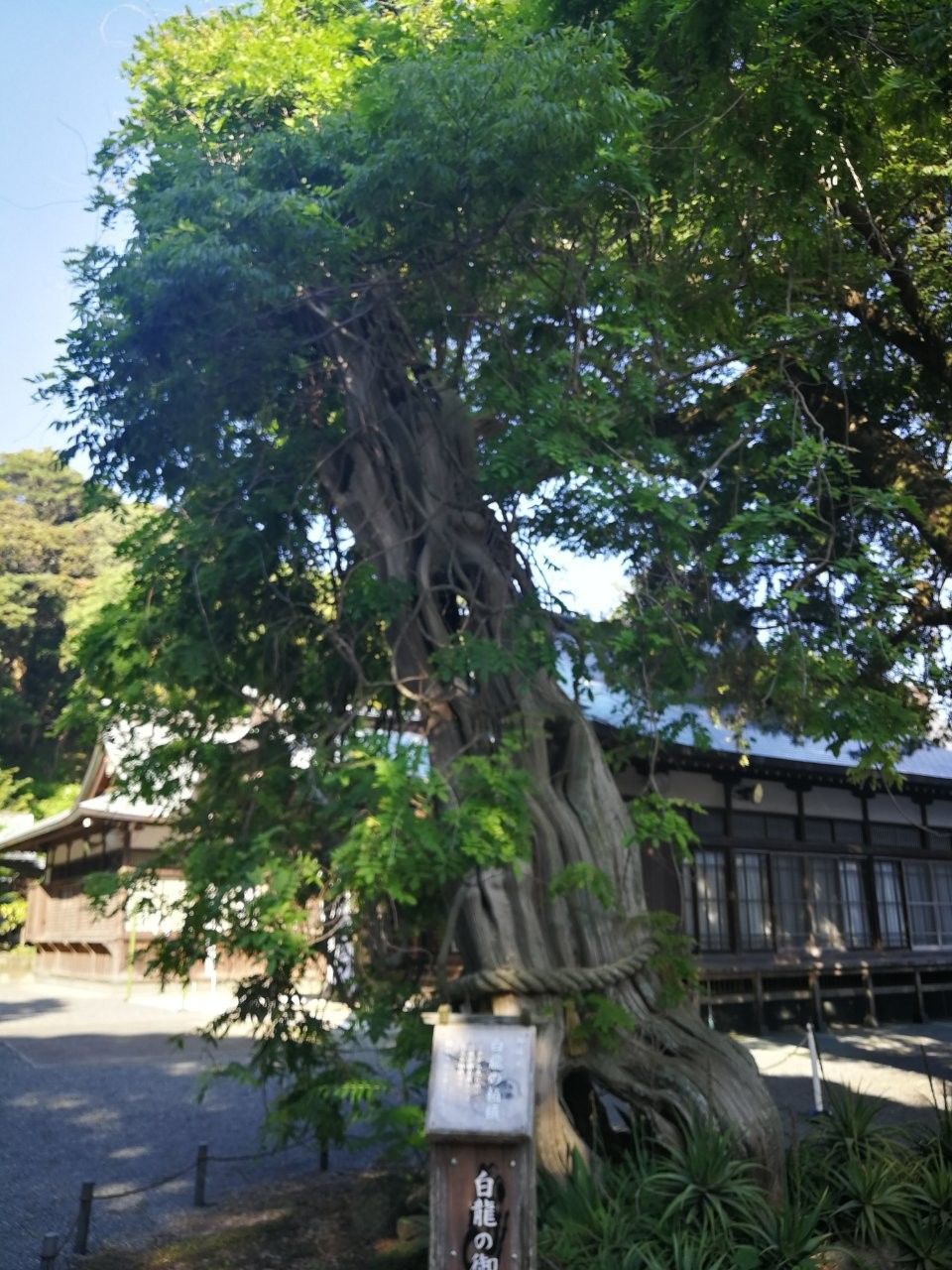 f:id:adagio-nijiiro:20190530084525j:image f:id:adagio-nijiiro:20190530084525j:image
