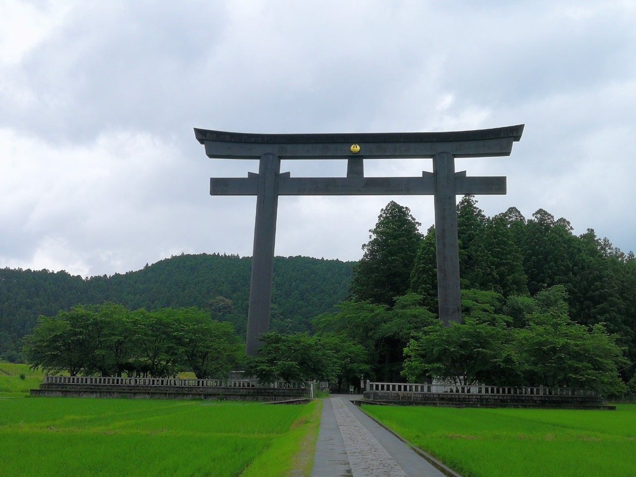 f:id:adagio-nijiiro:20190618011258j:image f:id:adagio-nijiiro:20190618011258j:image
