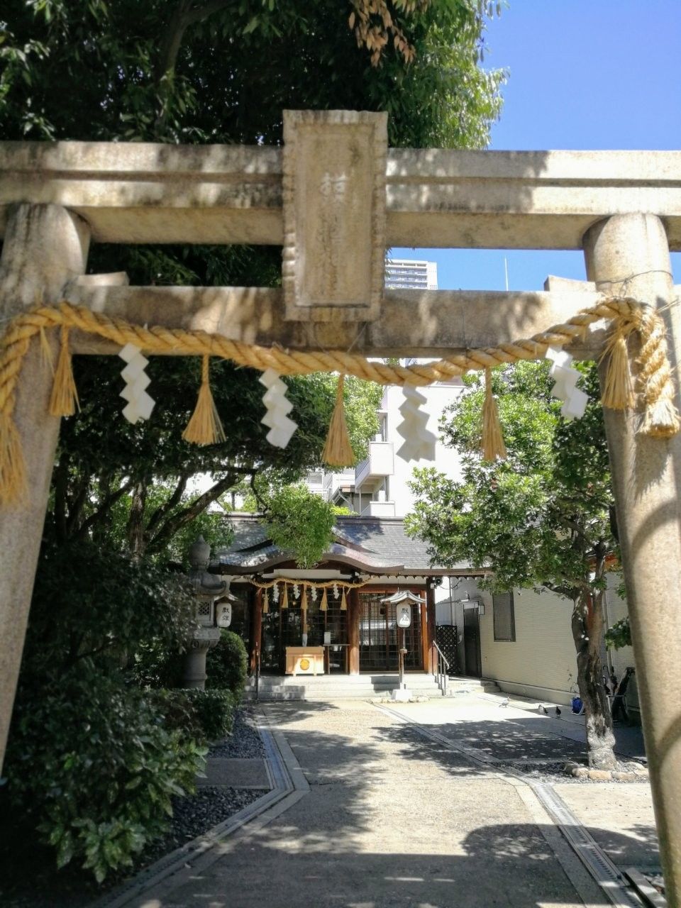 f:id:adagio-nijiiro:20190618121536j:image
