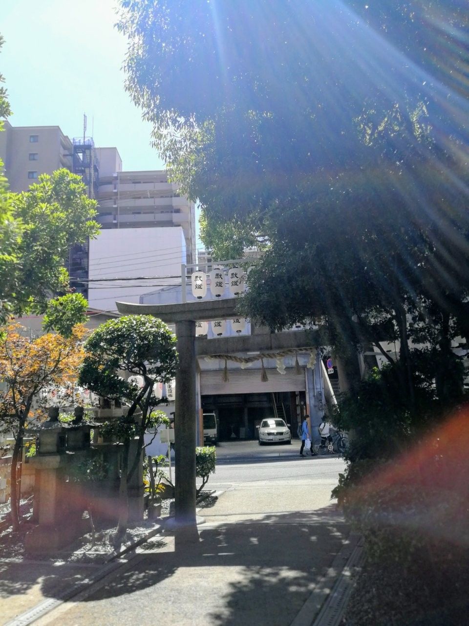 f:id:adagio-nijiiro:20190618121627j:image