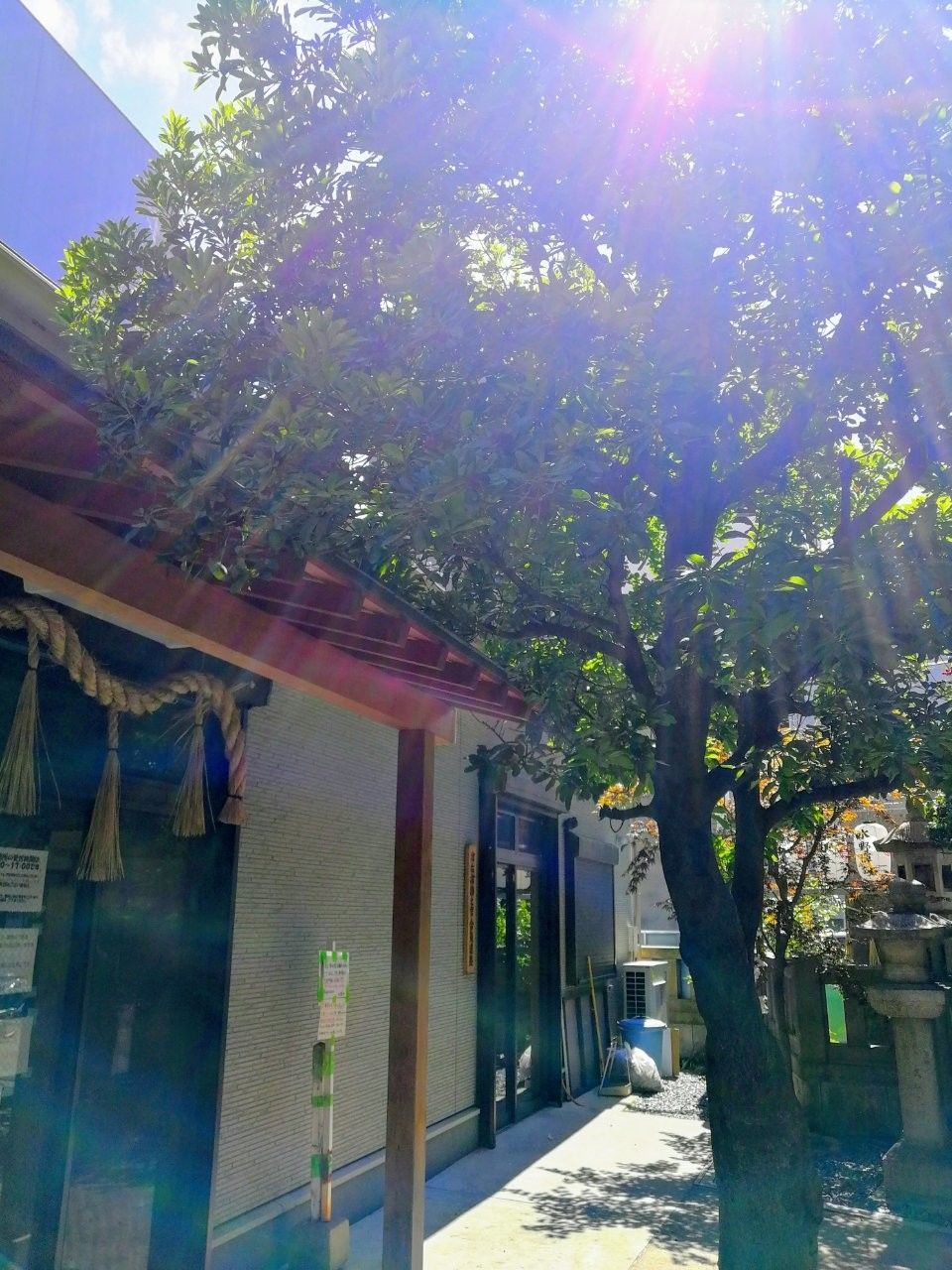 f:id:adagio-nijiiro:20190618121830j:image