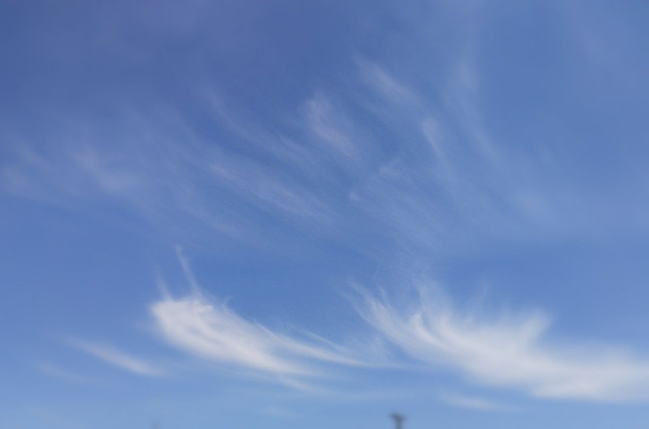 f:id:adagio-nijiiro:20190701102105j:image