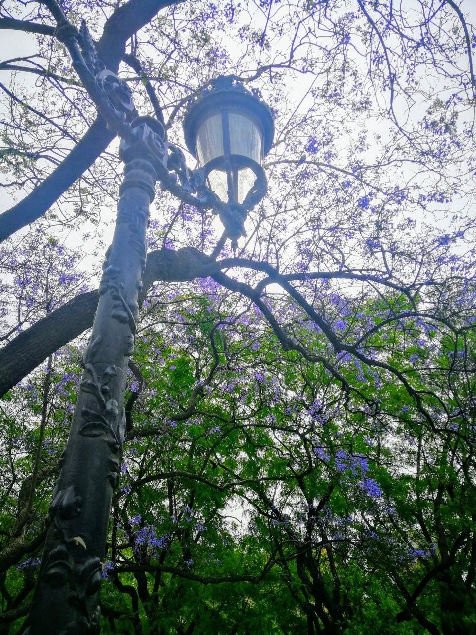 f:id:adagio-nijiiro:20190716193423j:image