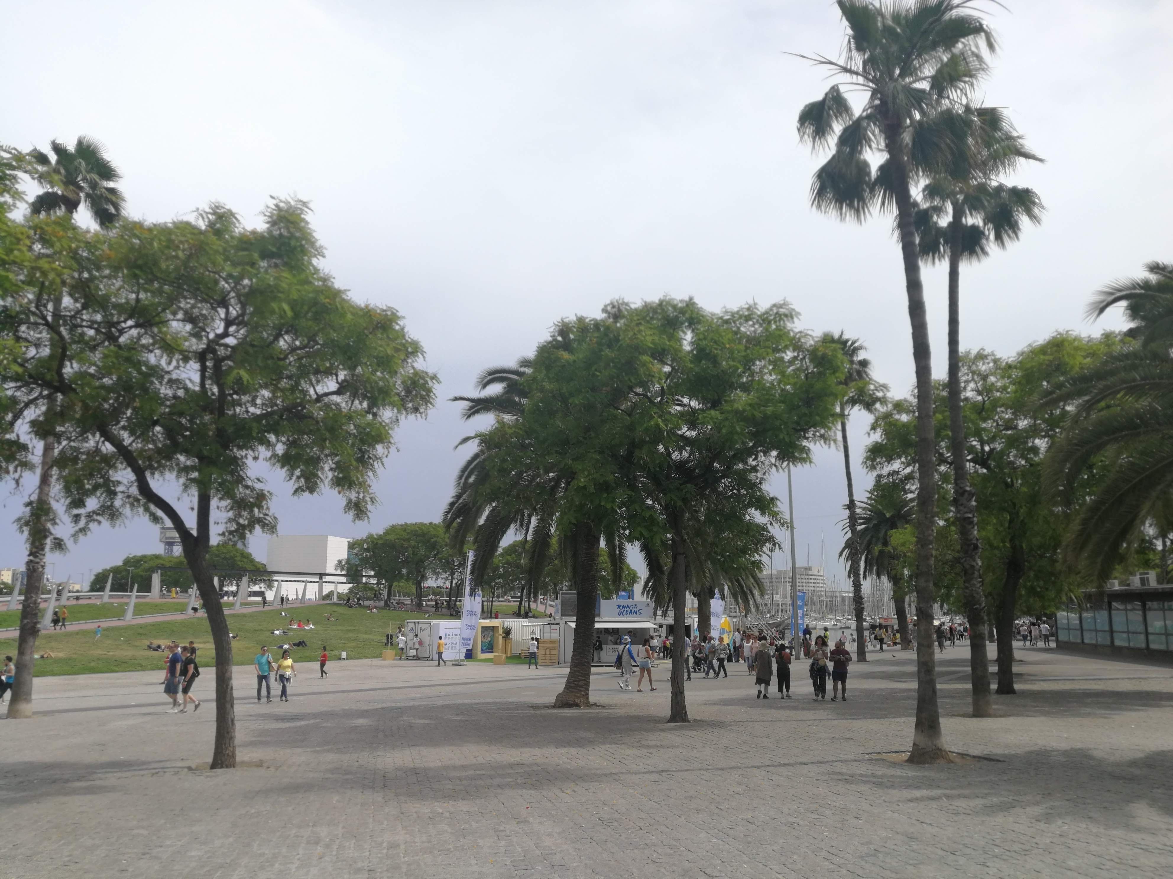 f:id:adagio-nijiiro:20190717003741j:image