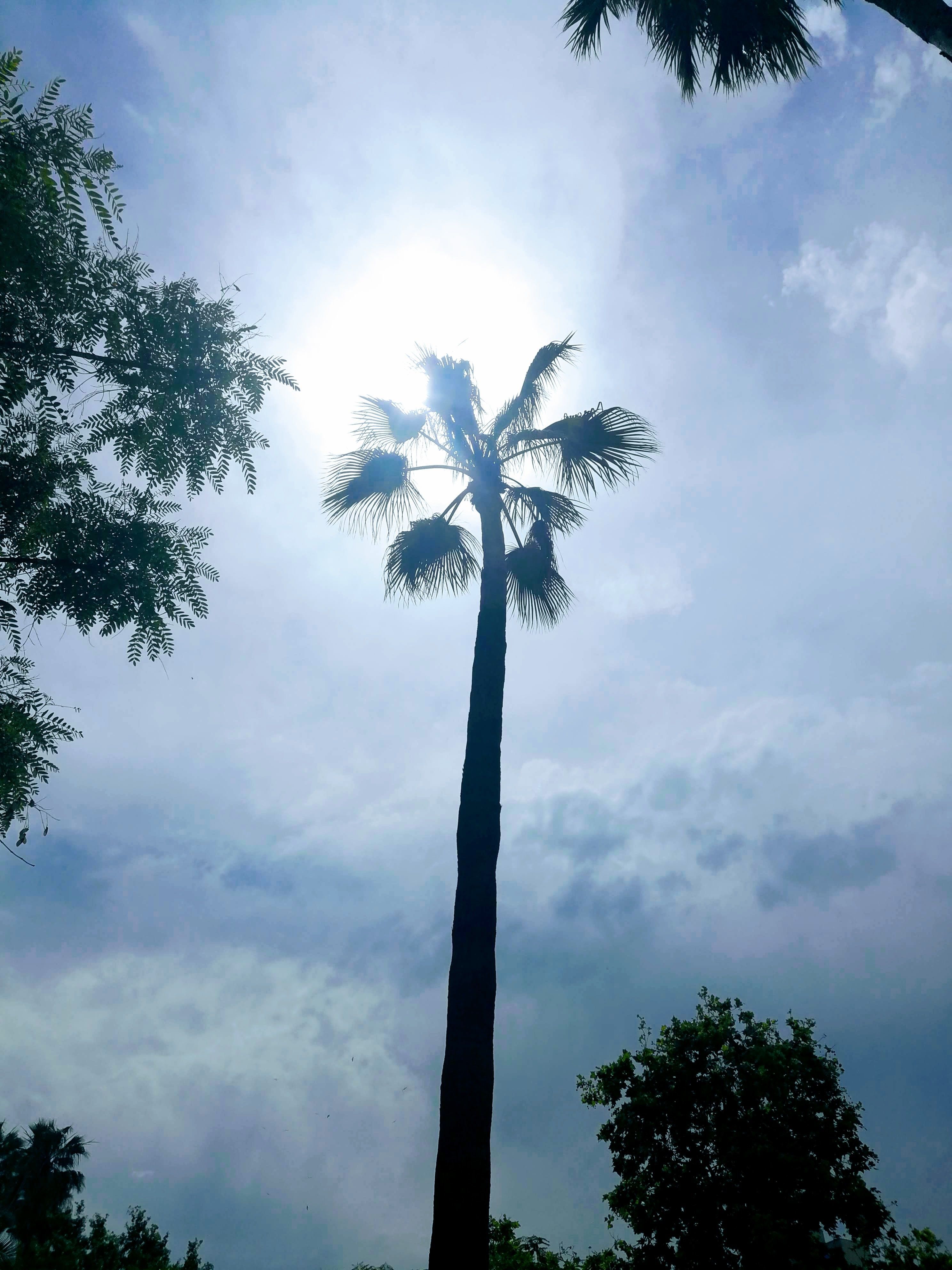 f:id:adagio-nijiiro:20190717004503j:image