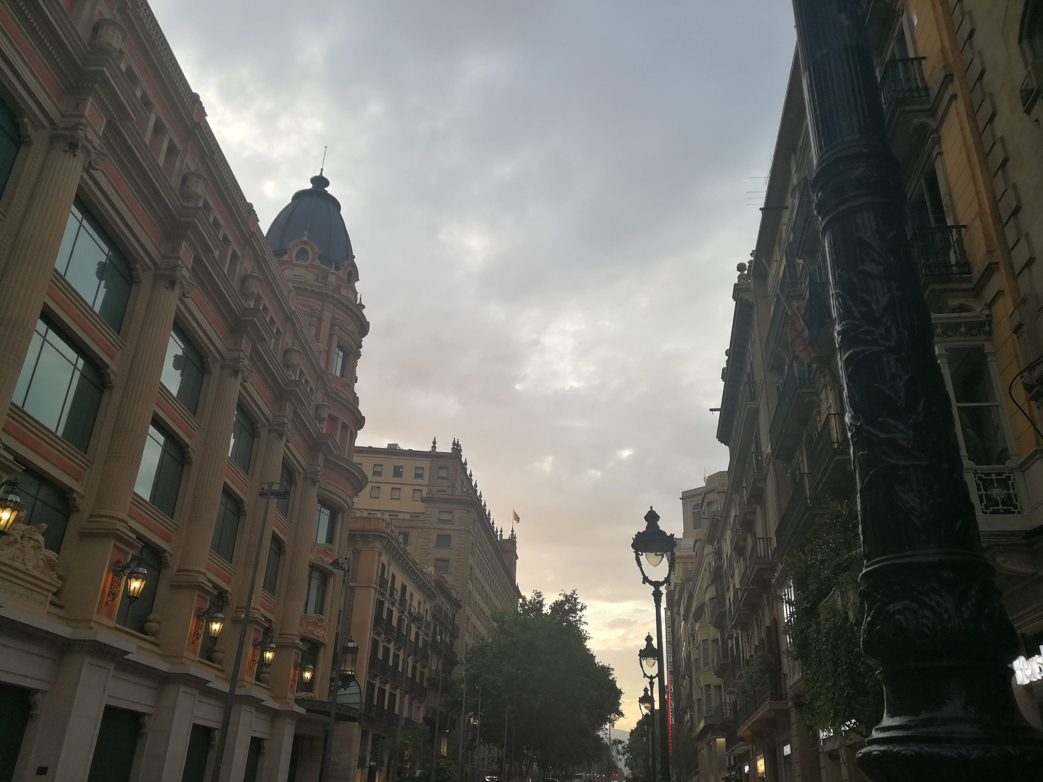 f:id:adagio-nijiiro:20190717015416j:image