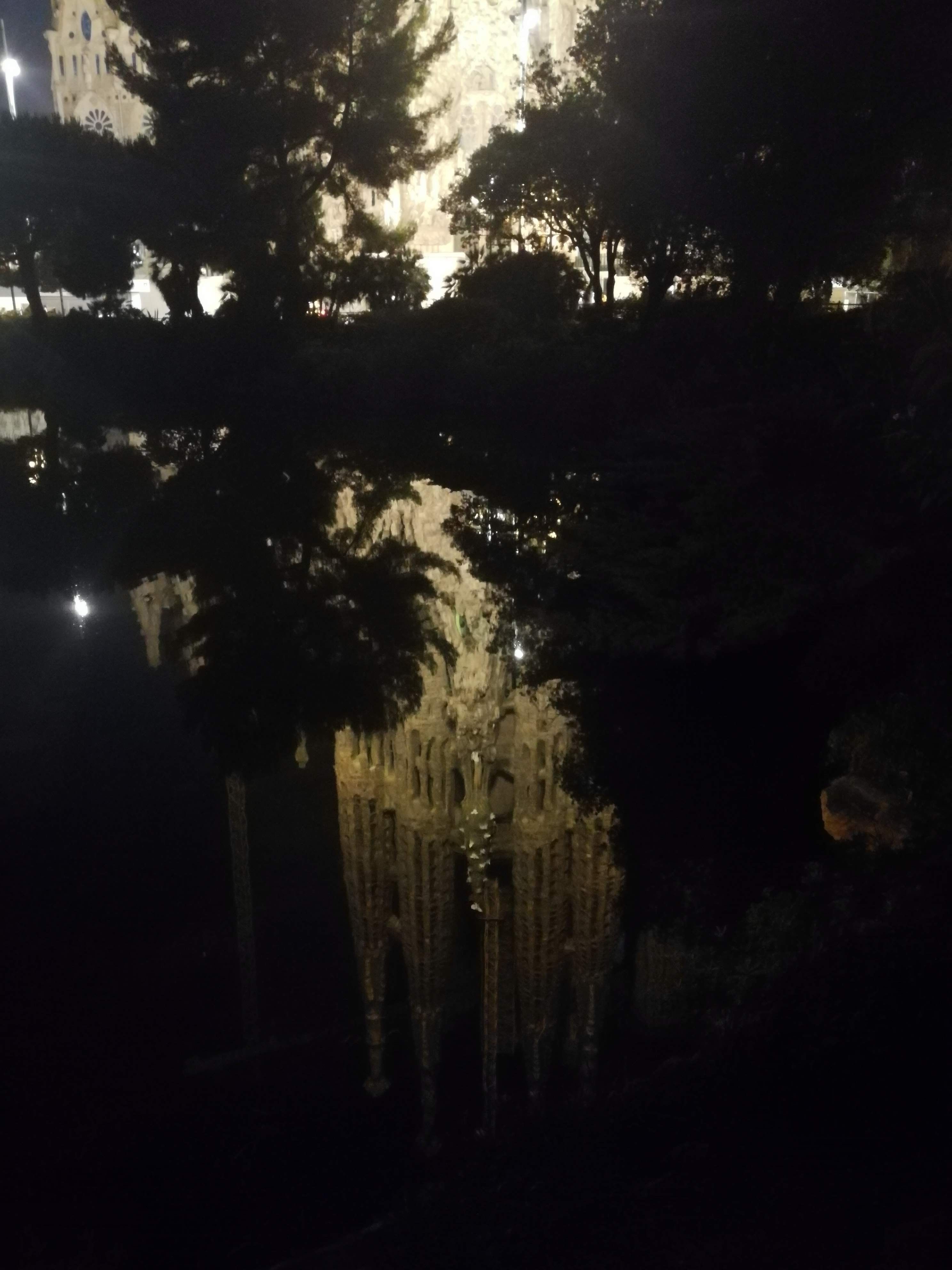 f:id:adagio-nijiiro:20190717021111j:image