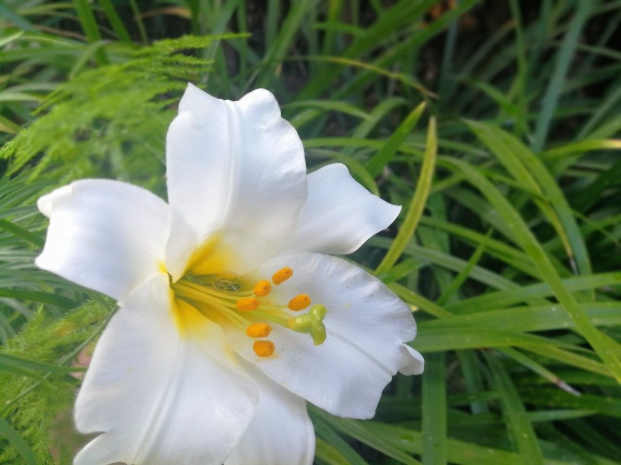 f:id:adagio-nijiiro:20190718002119j:image f:id:adagio-nijiiro:20190718002119j:image