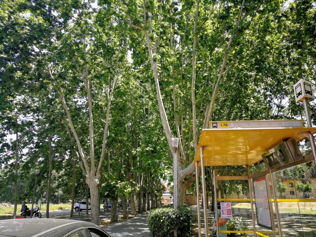 f:id:adagio-nijiiro:20190718130323j:image