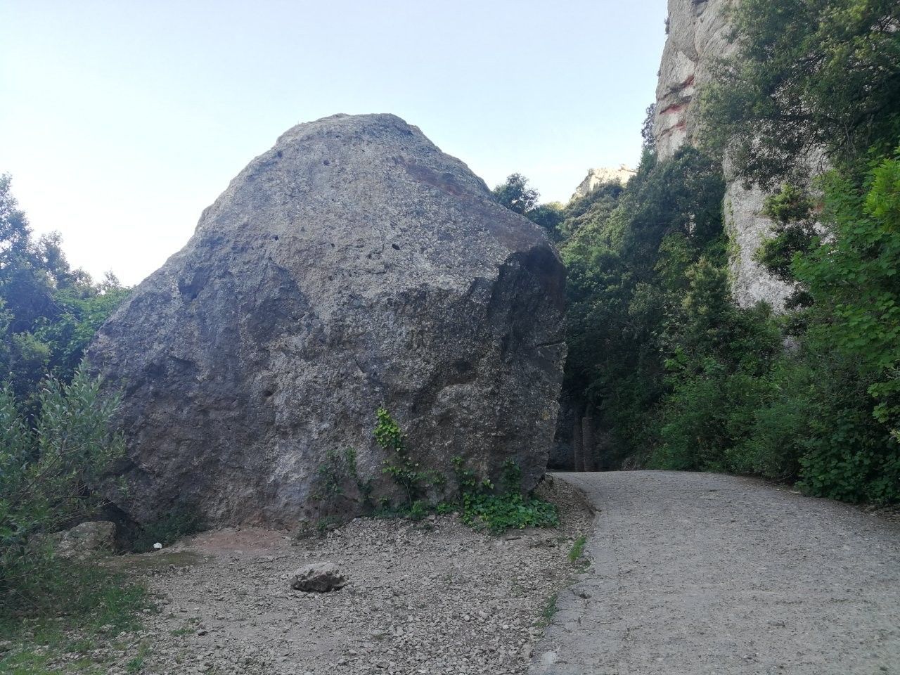 f:id:adagio-nijiiro:20190722002801j:image f:id:adagio-nijiiro:20190722002801j:image