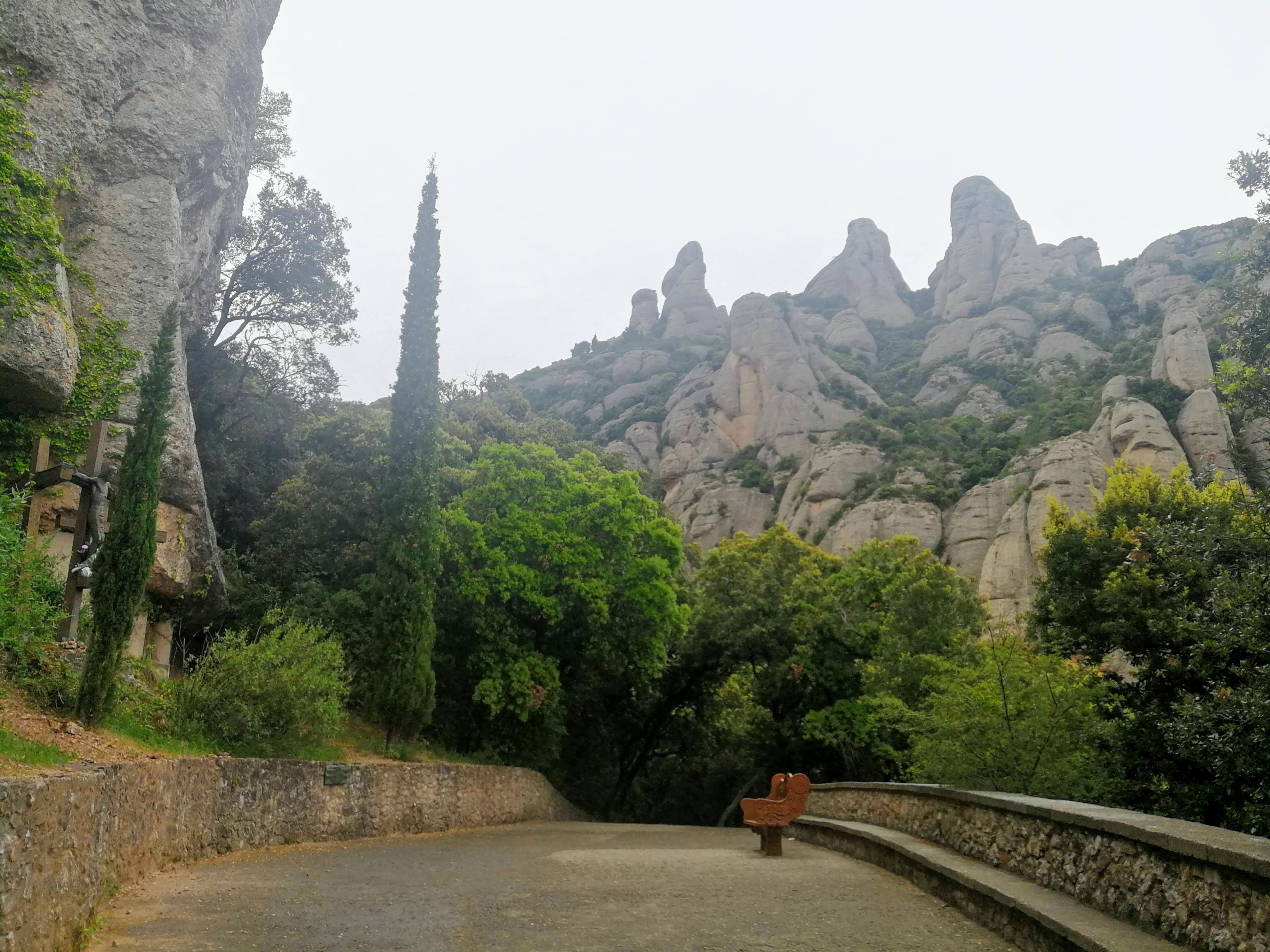 f:id:adagio-nijiiro:20190722102607j:image f:id:adagio-nijiiro:20190722102607j:image