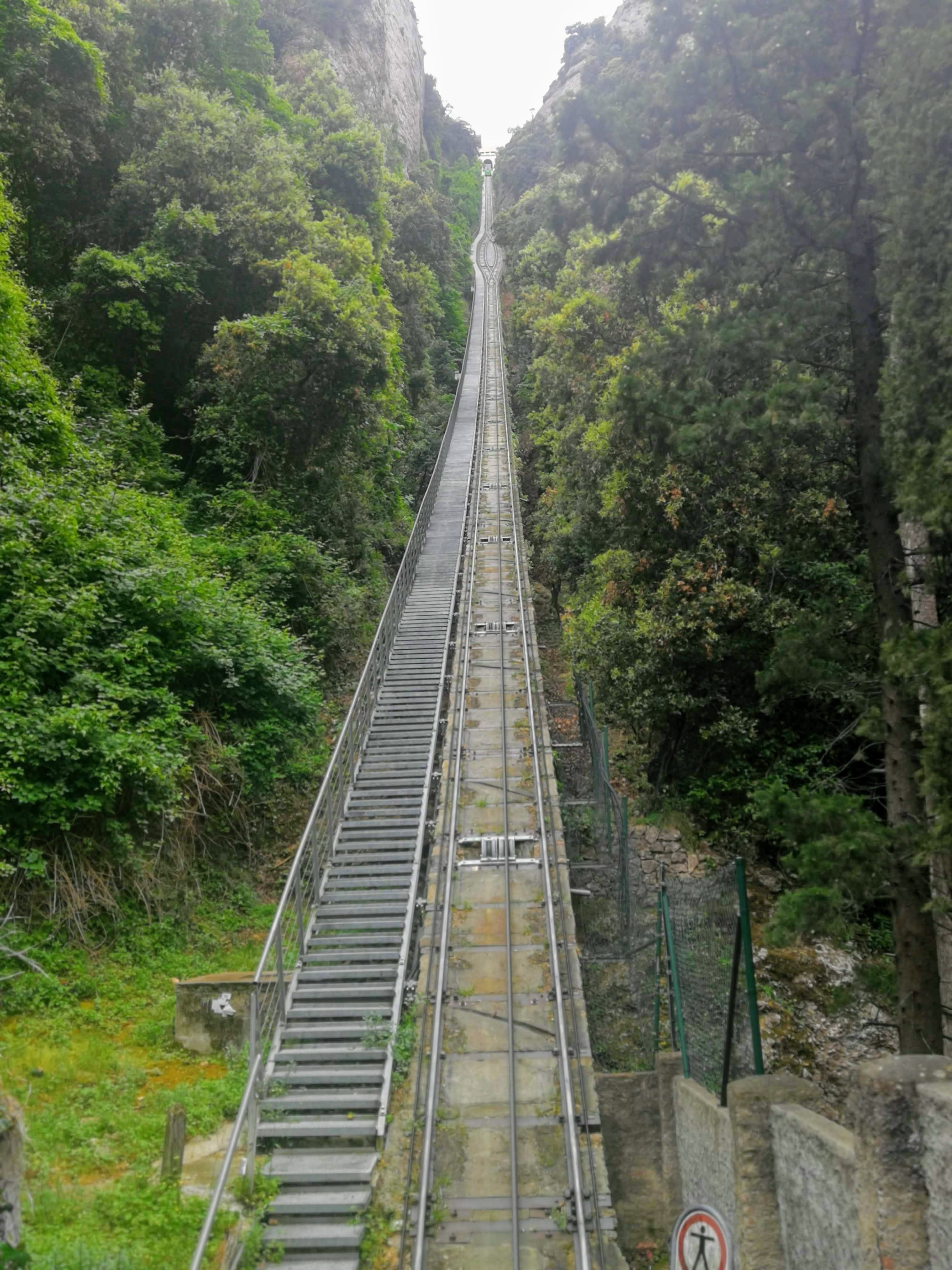 f:id:adagio-nijiiro:20190722102755j:image f:id:adagio-nijiiro:20190722102755j:image