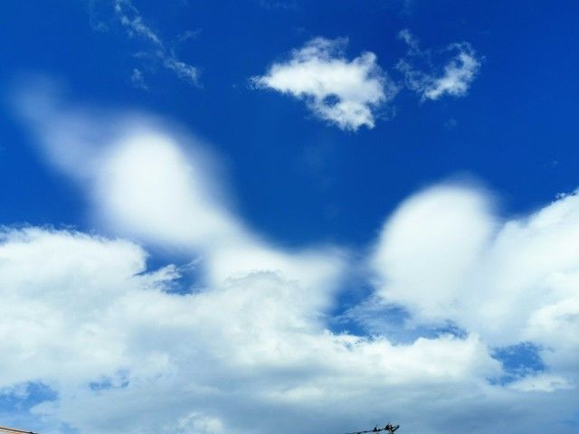 f:id:adagio-nijiiro:20190815225410j:image f:id:adagio-nijiiro:20190815225410j:image
