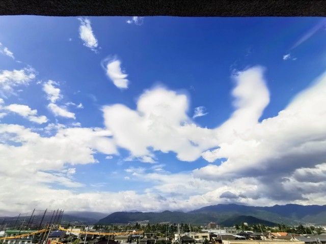 f:id:adagio-nijiiro:20190815225441j:image f:id:adagio-nijiiro:20190815225441j:image