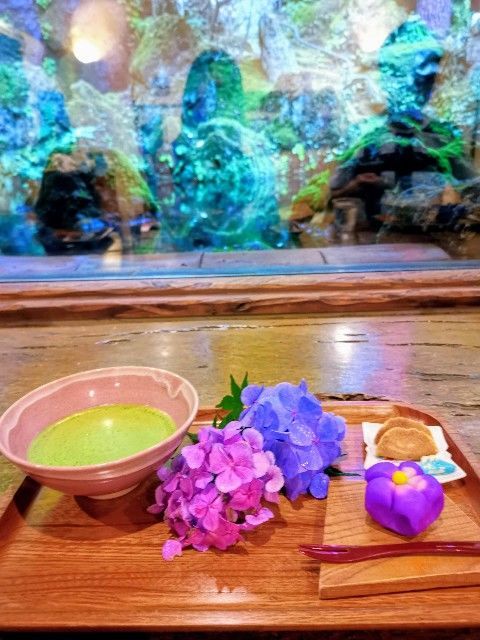 f:id:adagio-nijiiro:20190829172119j:image