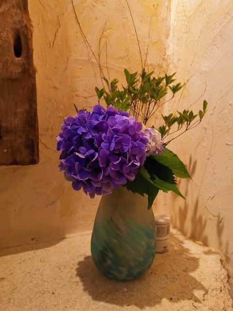 f:id:adagio-nijiiro:20190829172706j:image