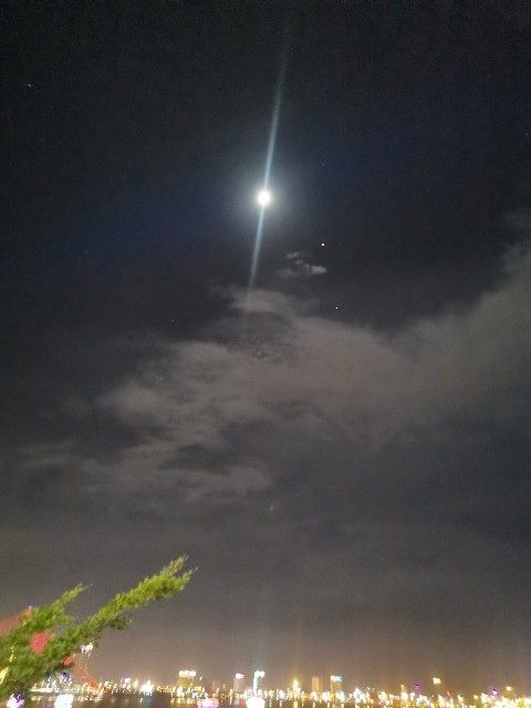 f:id:adagio-nijiiro:20190901020939j:image f:id:adagio-nijiiro:20190901020939j:image