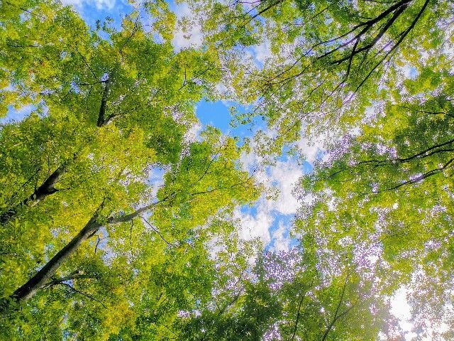 f:id:adagio-nijiiro:20190930214722j:image