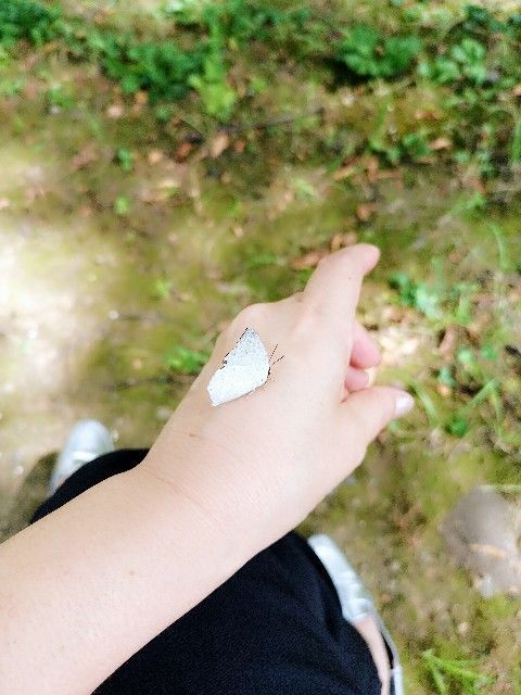f:id:adagio-nijiiro:20190930215906j:image