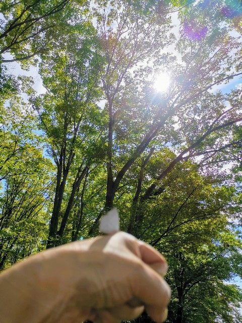 f:id:adagio-nijiiro:20190930215938j:image