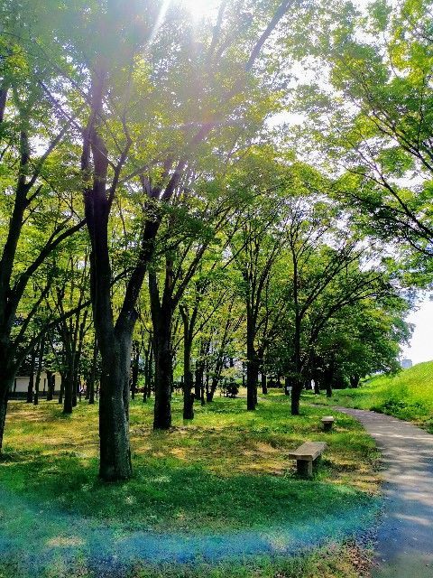 f:id:adagio-nijiiro:20190930220136j:image