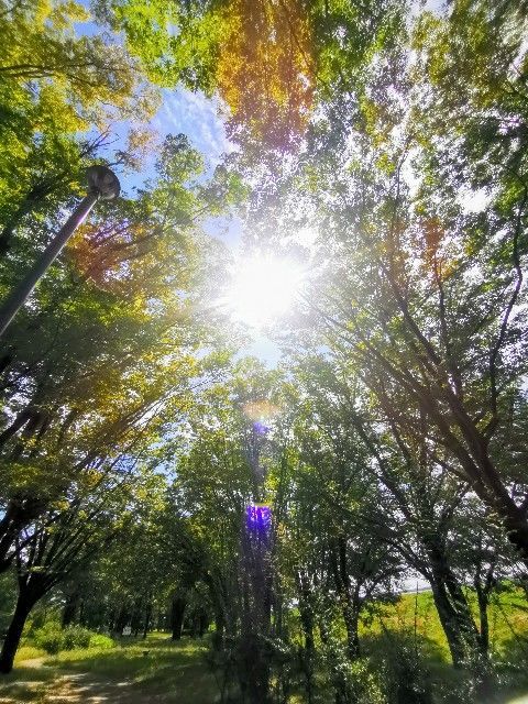 f:id:adagio-nijiiro:20190930220757j:image