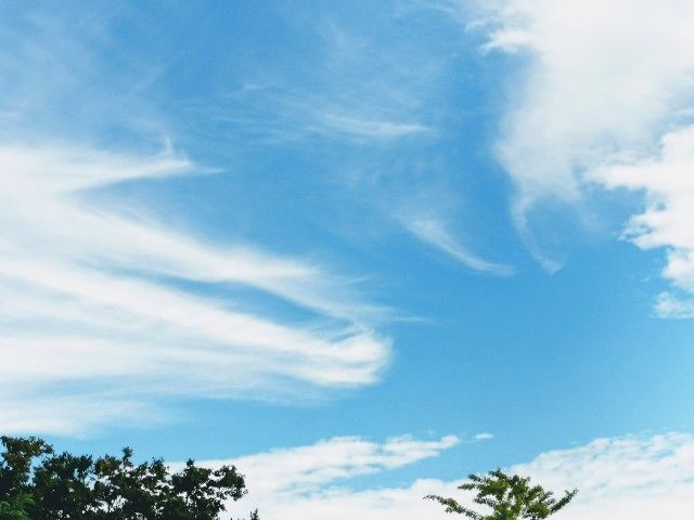 f:id:adagio-nijiiro:20190930220951j:image