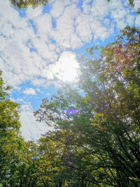 f:id:adagio-nijiiro:20190930221115j:image
