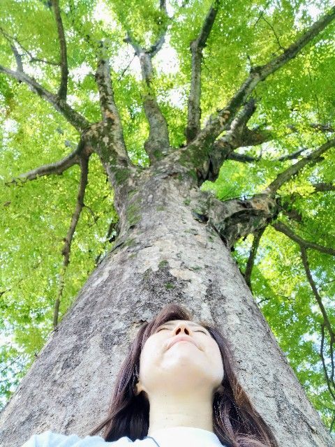 f:id:adagio-nijiiro:20191003203213j:image