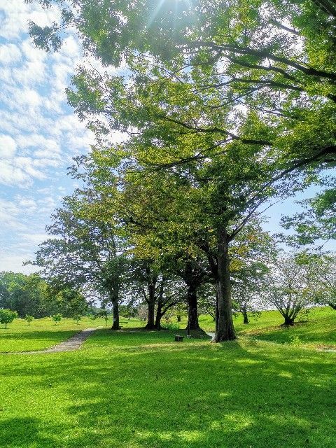 f:id:adagio-nijiiro:20191003203411j:image